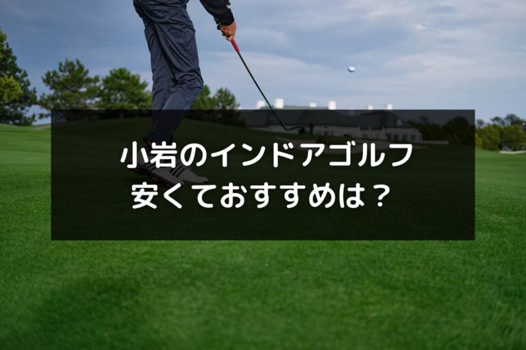 小岩で安くておすすめのインドアゴルフレッスン