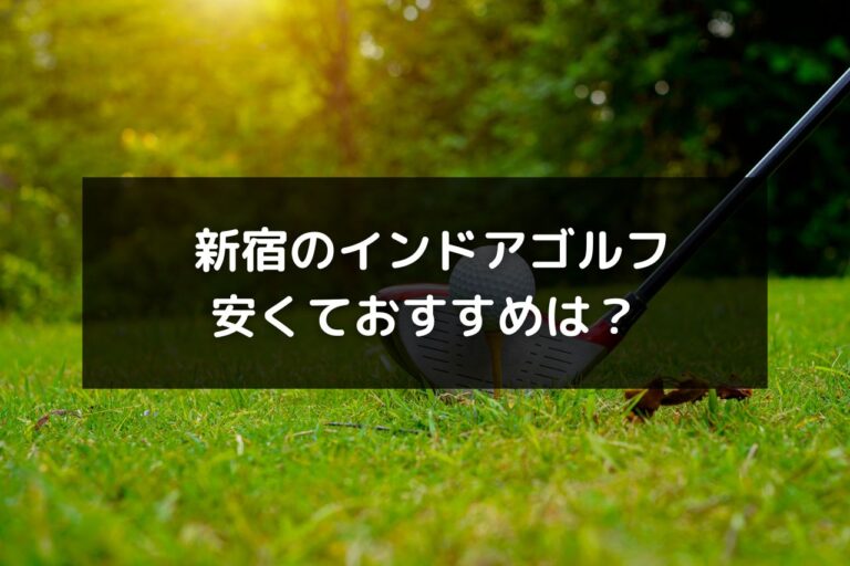 新宿で安くておすすめのインドアゴルフレッスン